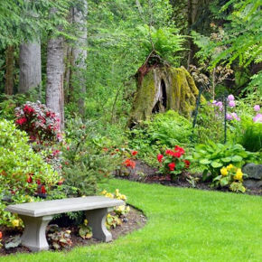 Picture for category Gardens & Landscaping