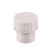 Picture of W2190 40MM SW ACCESS PLUG WHITE